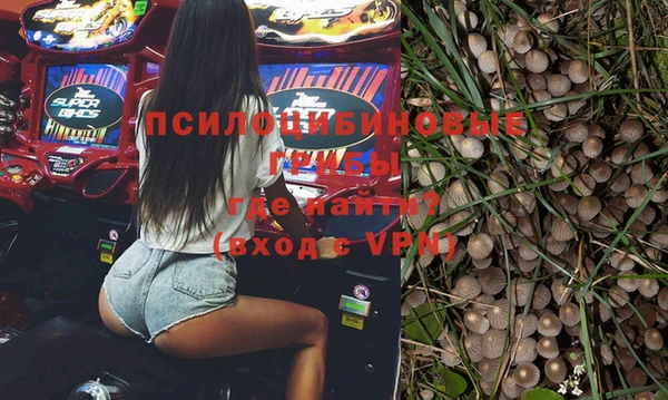 бошки Володарск