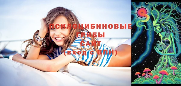 бошки Володарск