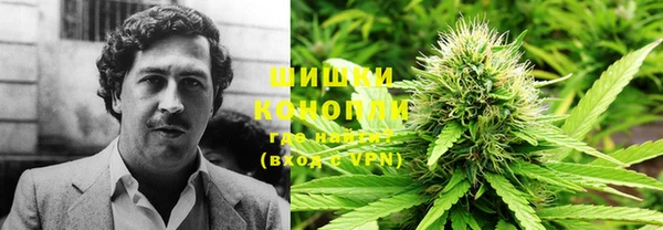 гидра Волоколамск