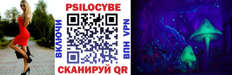 Купить закладки  Тутаев  Псилоцибиновые грибы мицелий 